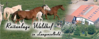 reitanlage-waldhof.de