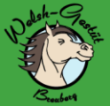 welsh-gestuet.de welsh-gestuet.de